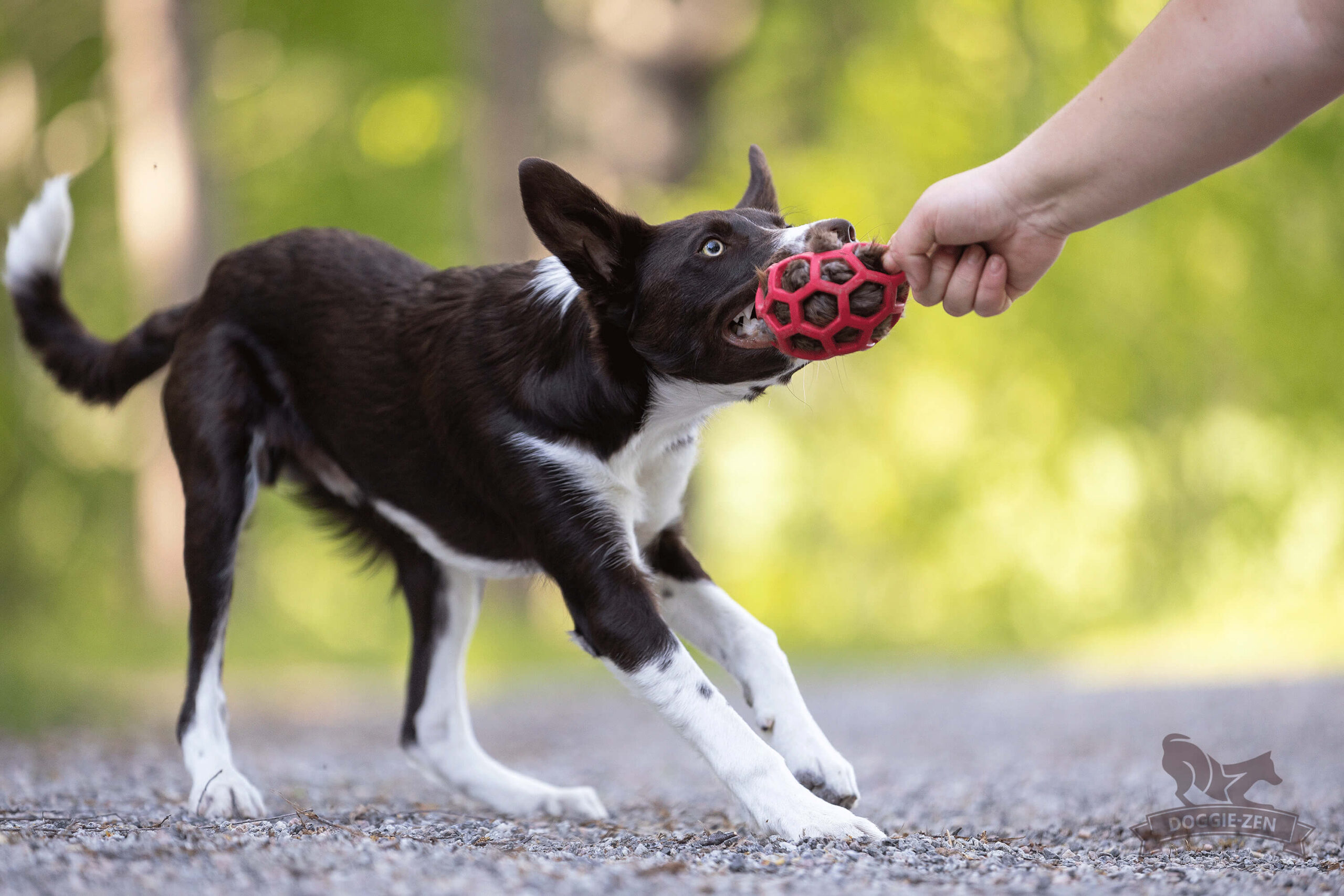 Doggie-Zen Pelspude - Bæverskind med pibelyd – Fyld til Hol-EE bolde (Beaver hide with squeek sound – Insert for Hol-ee toys)