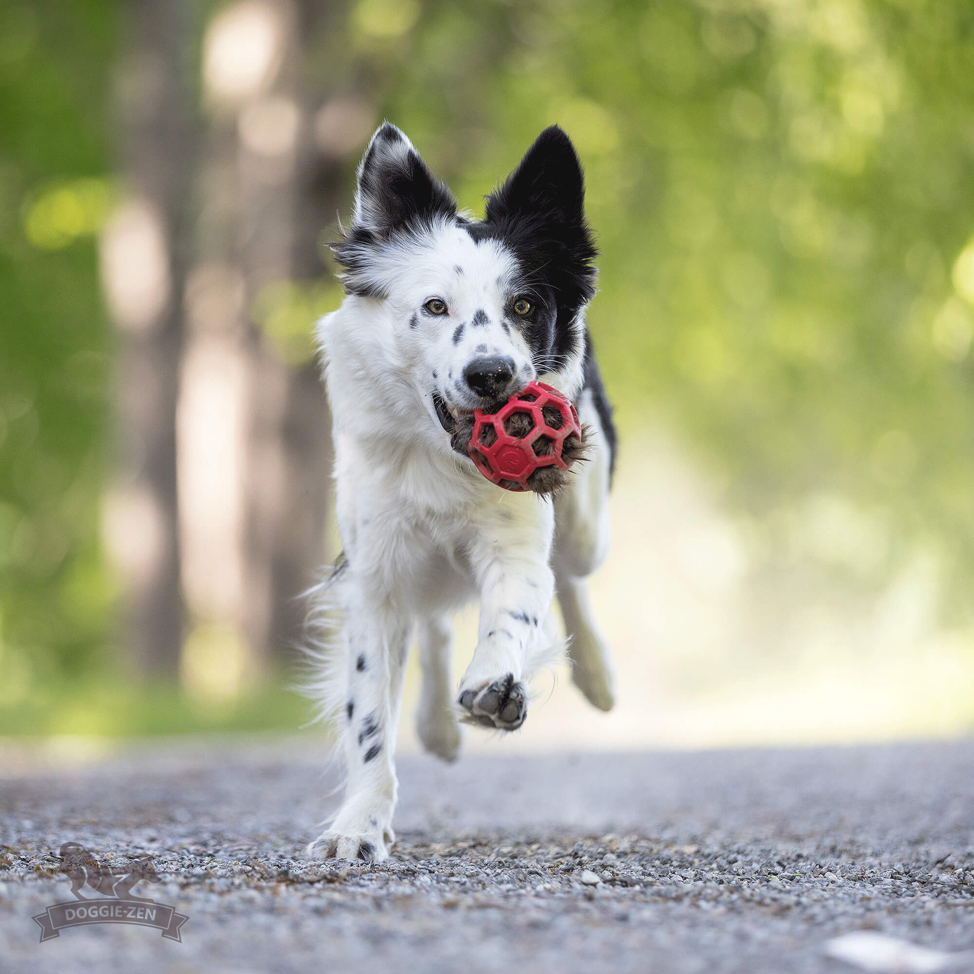 Doggie-Zen Pelspude - Bæverskind med pibelyd – Fyld til Hol-EE bolde (Beaver hide with squeek sound – Insert for Hol-ee toys) - Billede 3