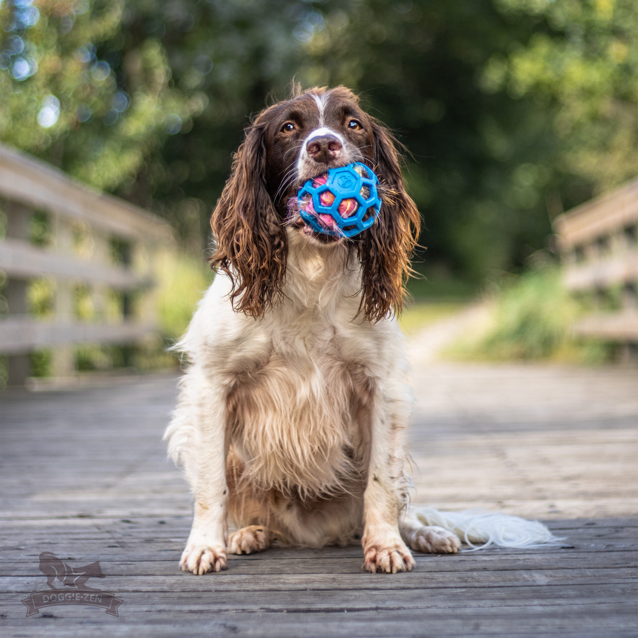 Doggie-Zen Pelspude - Hjorteskind med pibelyd – Fyld til Hol-EE bolde (Deer hide with squeek sound – Insert for Hol-ee toys) - Billede 3