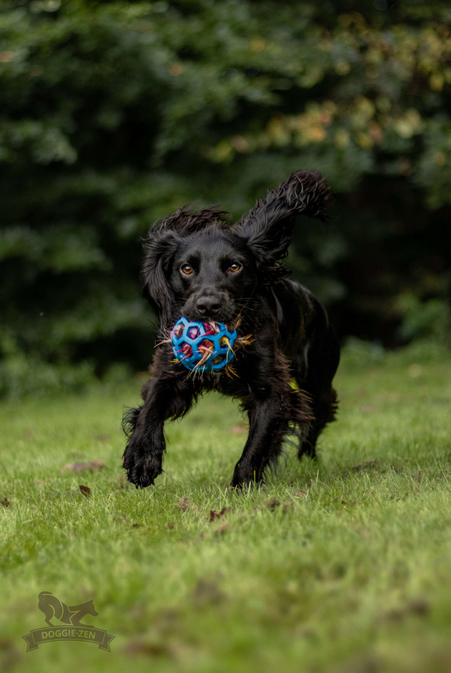 Doggie-Zen Pelspude - Bæverskind med pibelyd – Fyld til Hol-EE bolde (Beaver hide with squeek sound – Insert for Hol-ee toys) - Billede 2