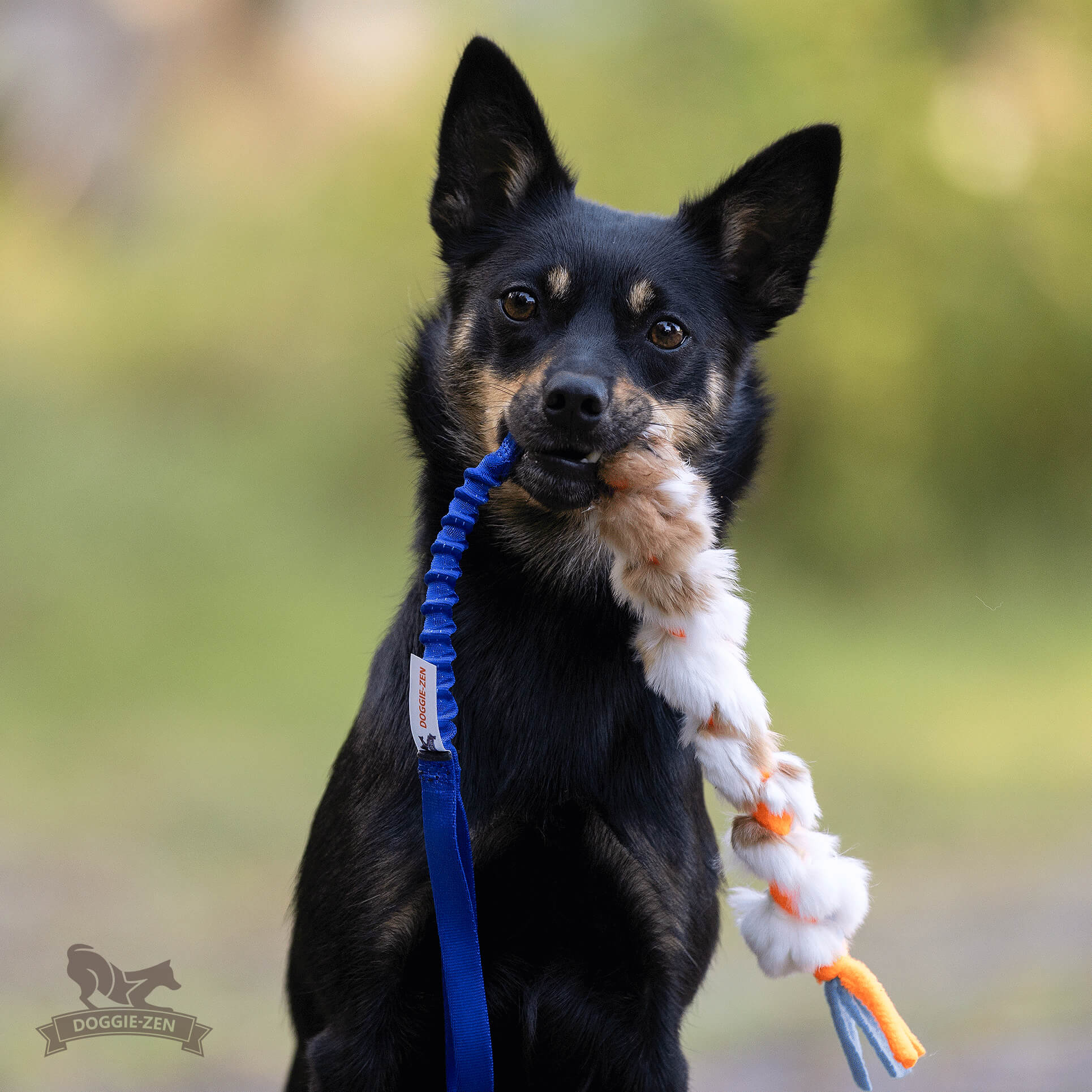 Doggie-Zen Fleece 'n Rabbit Braid med bungee elastik STR Small - Billede 3