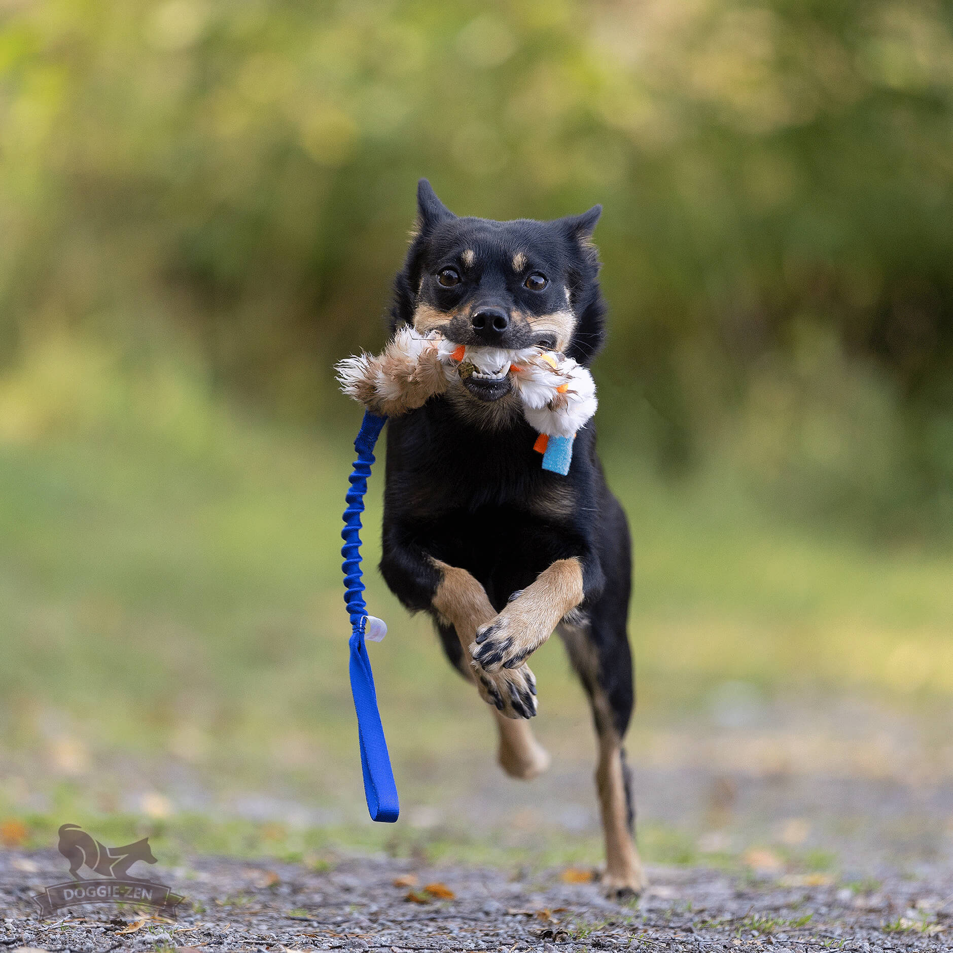 Doggie-Zen Fleece 'n Rabbit Braid med bungee elastik STR Small - Billede 4