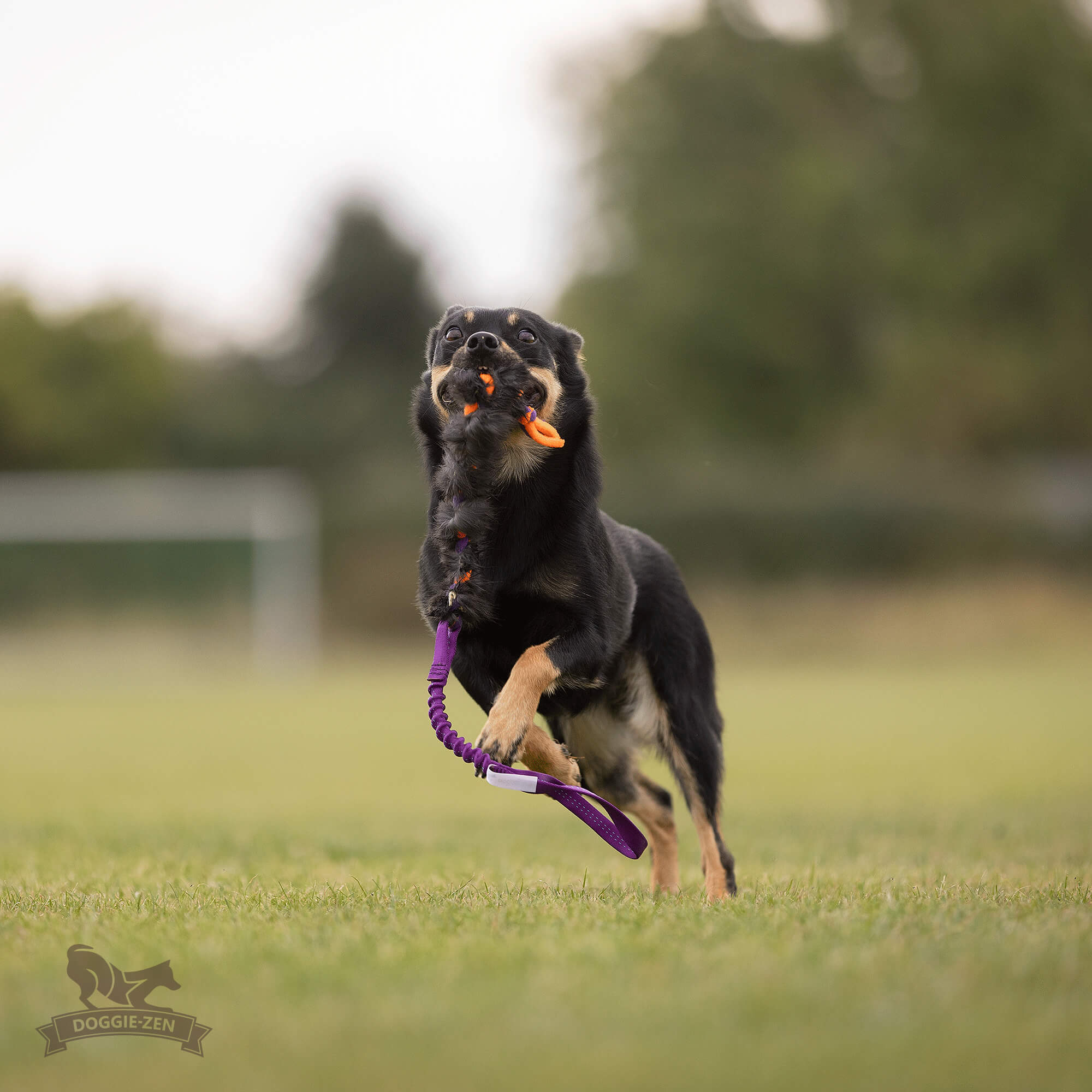 Doggie-Zen Fleece 'n Rabbit Braid med bungee elastik STR Small - Billede 5