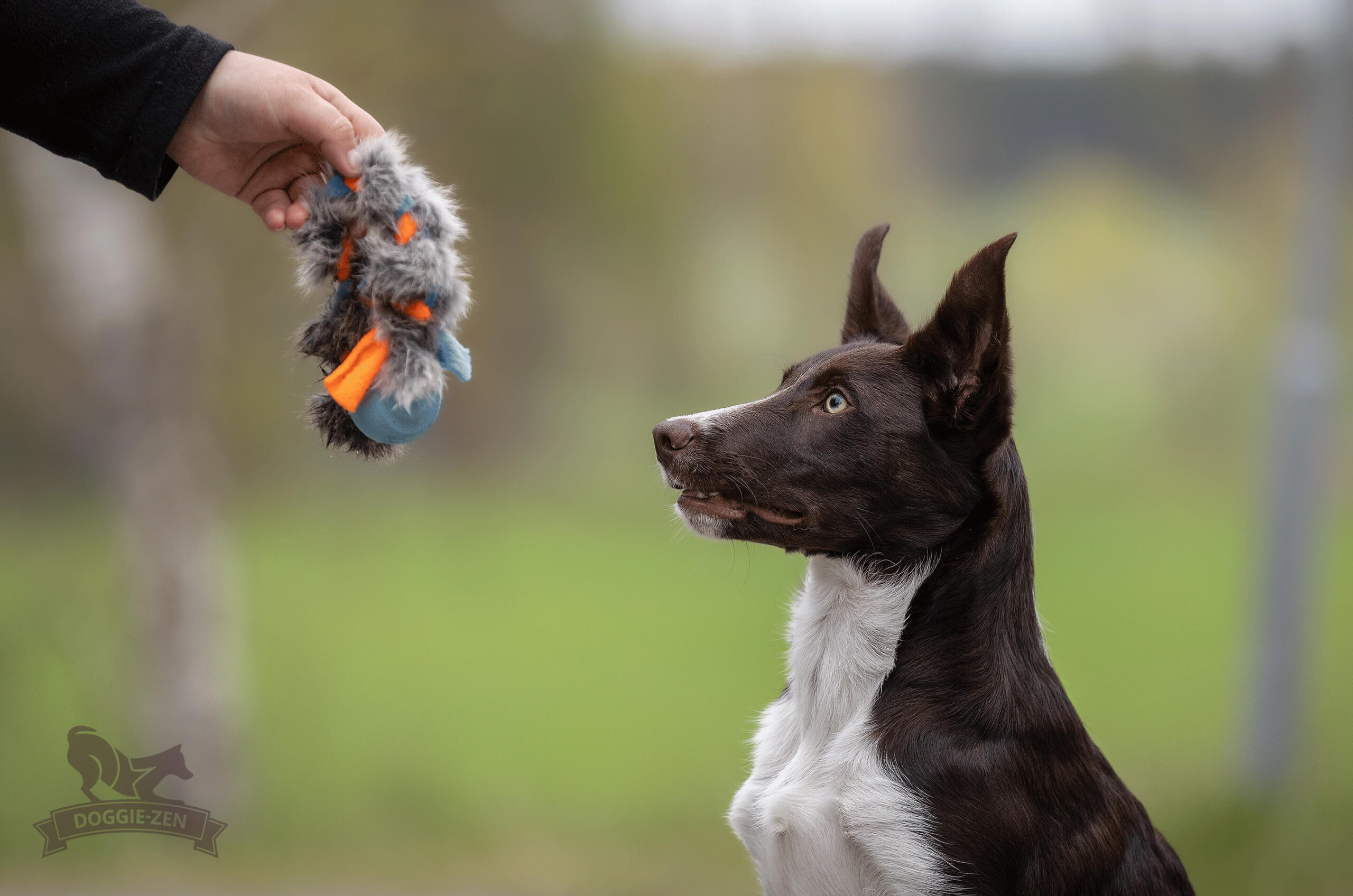 Doggie-Zen Fleece 'n Rabbit Braid Ring med Chuckit bold STR. Small - Billede 5
