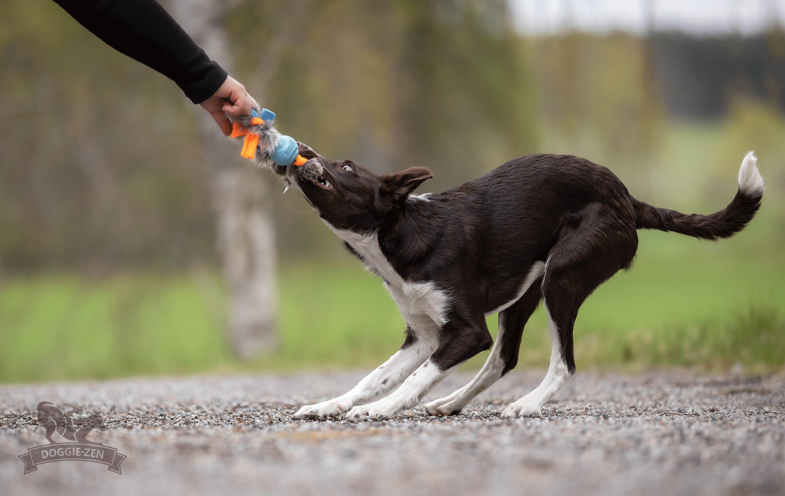 Doggie-Zen Fleece 'n Rabbit Braid Ring med Chuckit bold STR. Small - Billede 3