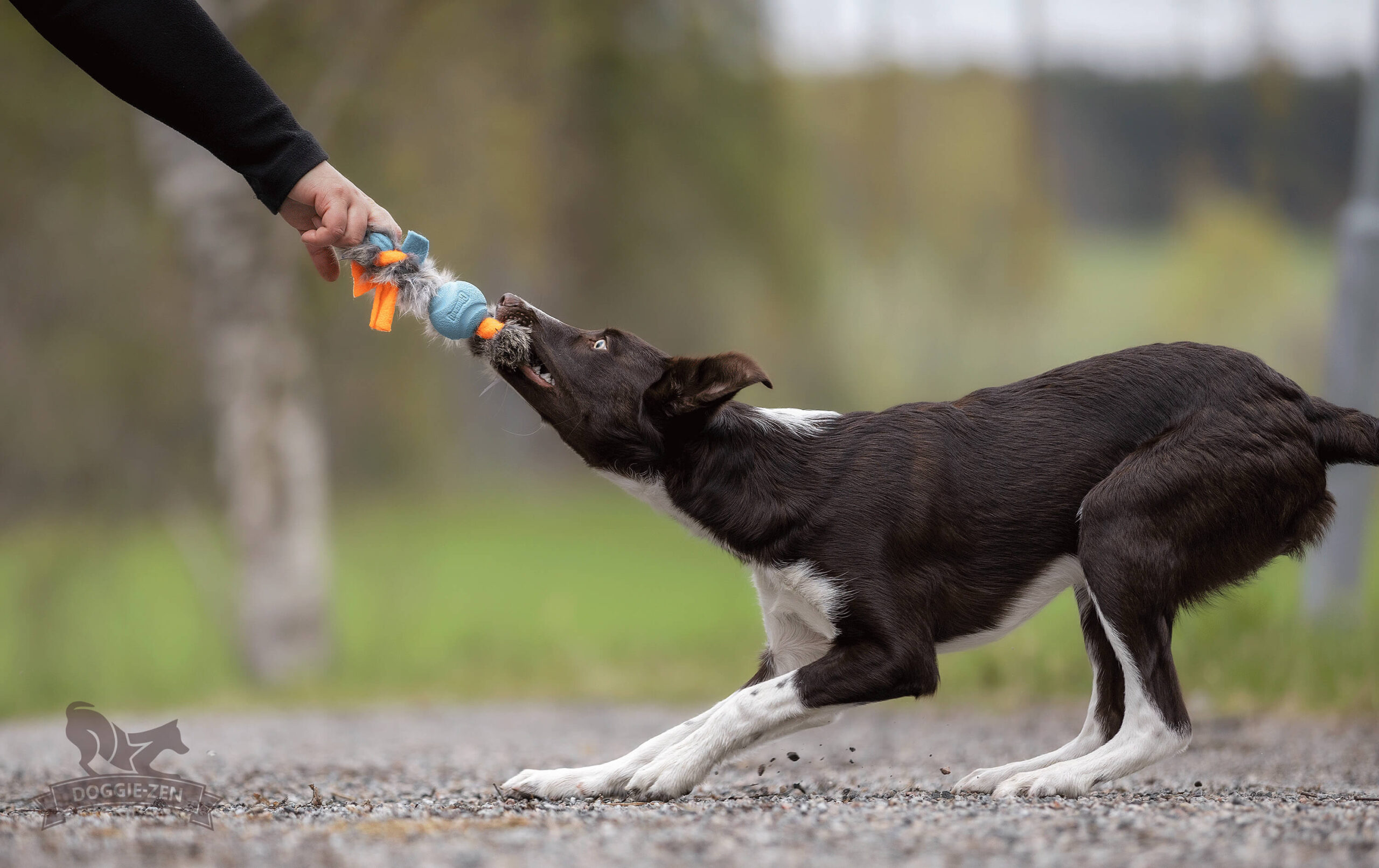 Doggie-Zen Fleece 'n Rabbit Braid Ring med Chuckit bold STR. Small - Billede 2