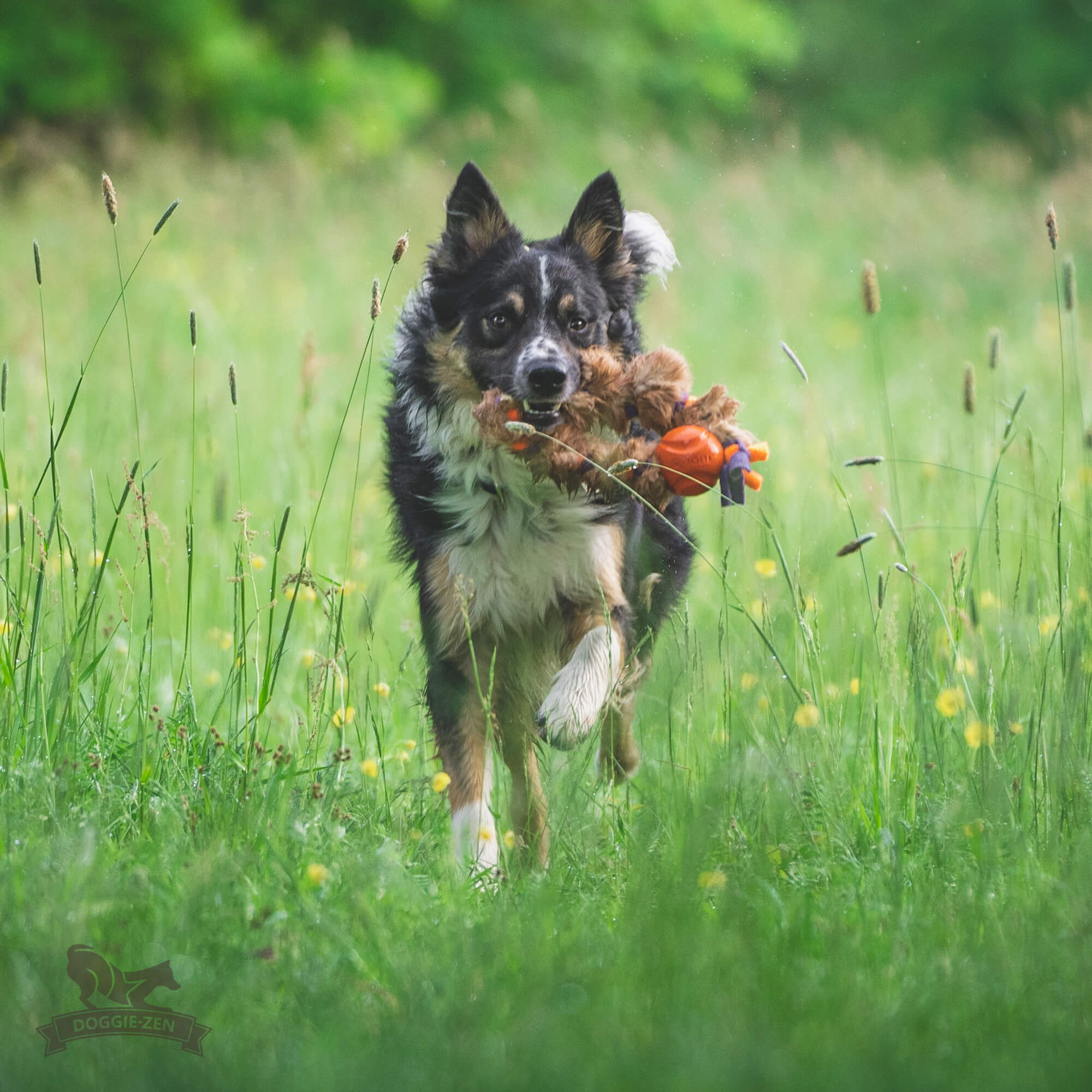 Doggie-Zen Fleece 'n Rabbit Braid Ring med Chuckit bold STR. Medium - Billede 3