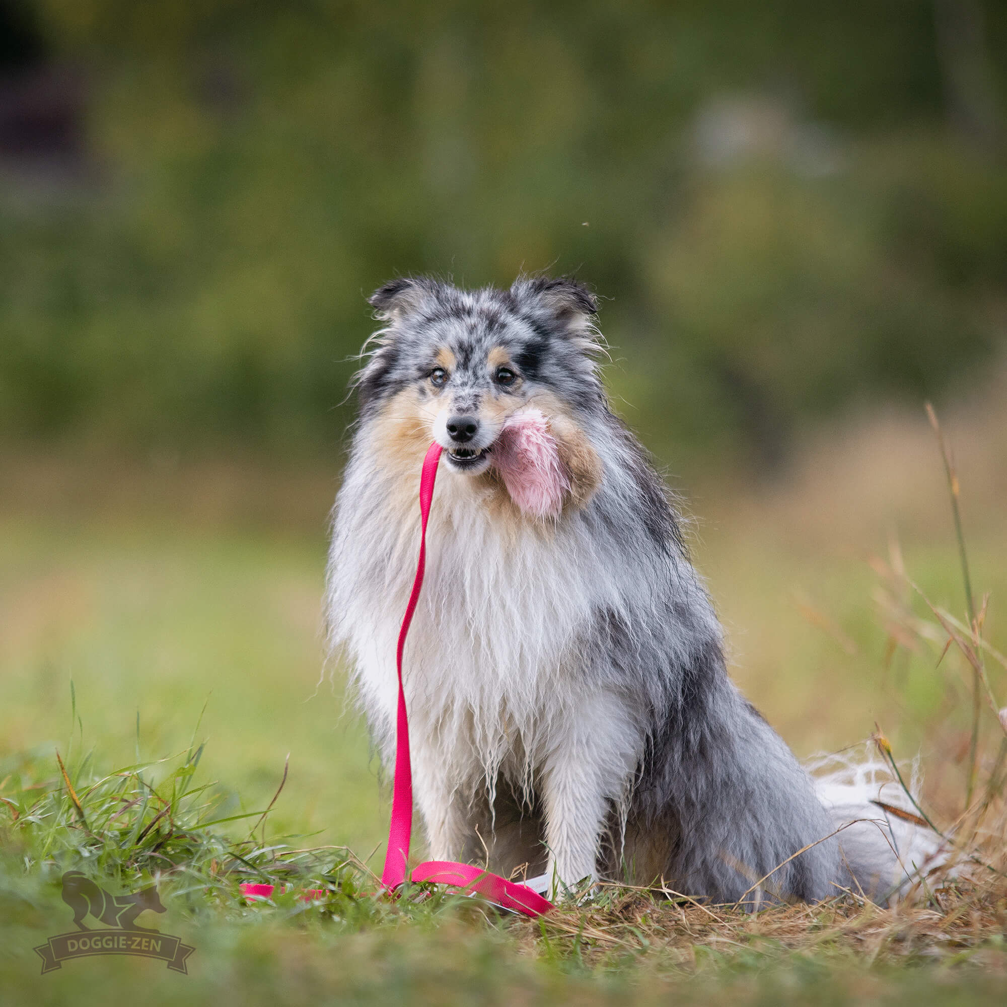 Doggie-Zen Chaser med kanin og pib - Billede 7