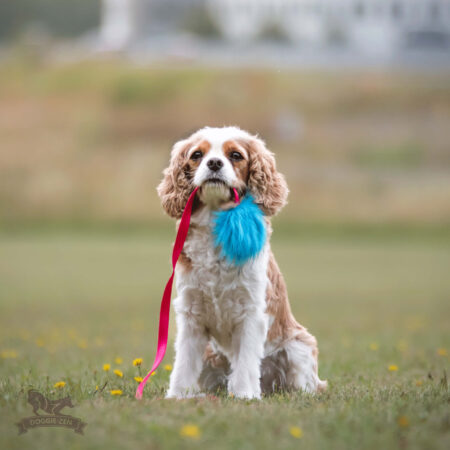 {{brizy_dc_image_alt entityId=