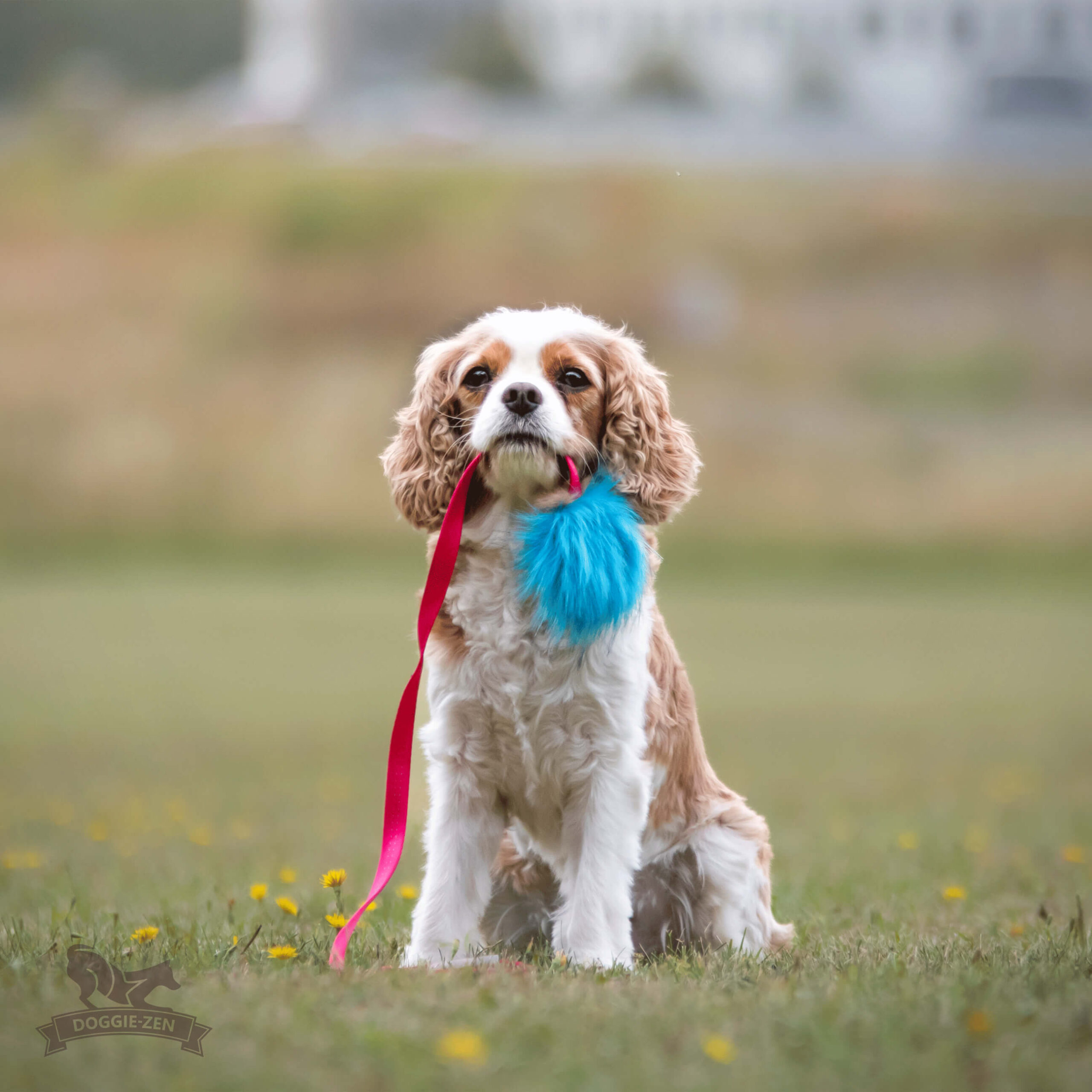 Doggie-Zen Chaser med kanin og pib