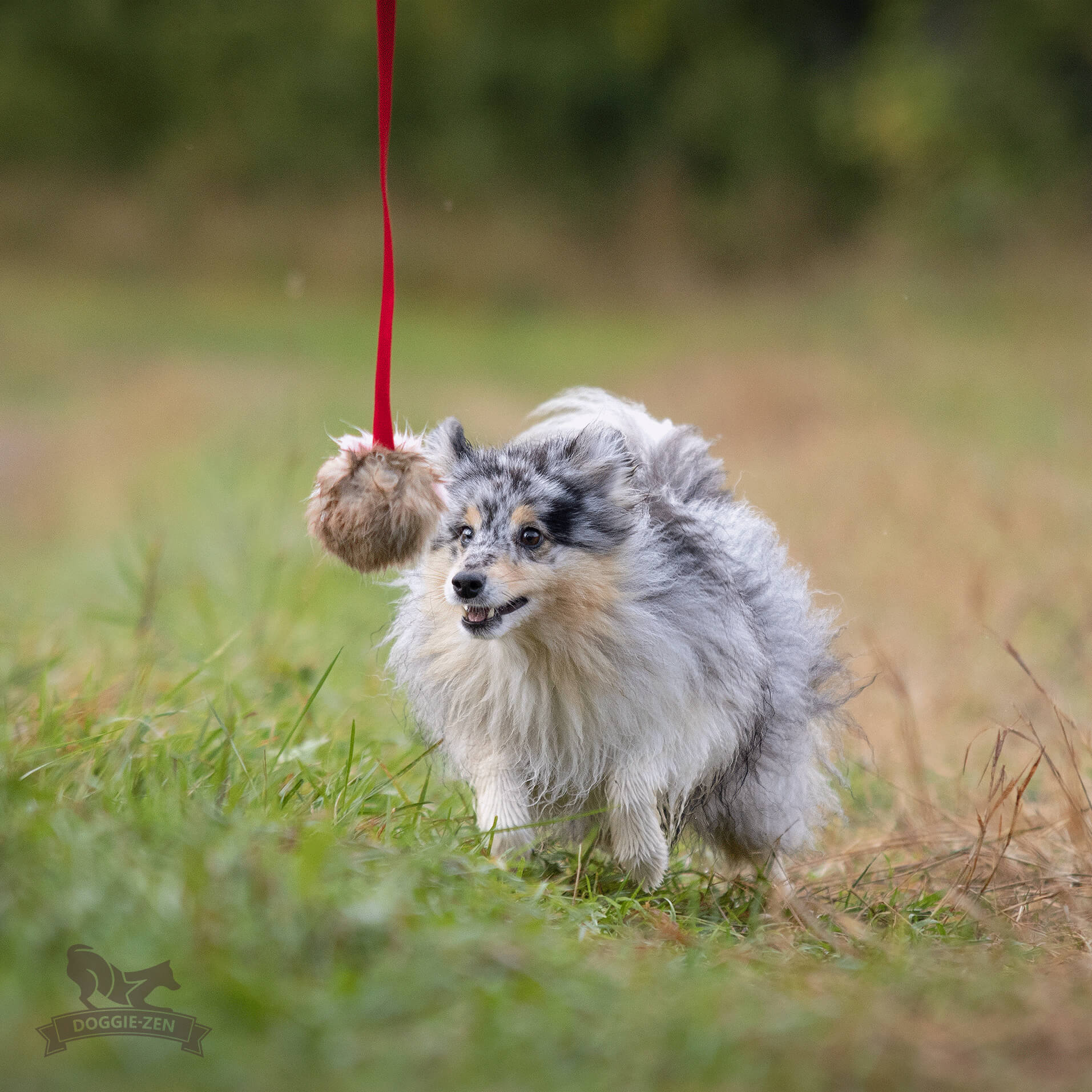 Doggie-Zen Chaser med kanin og pib - Billede 9