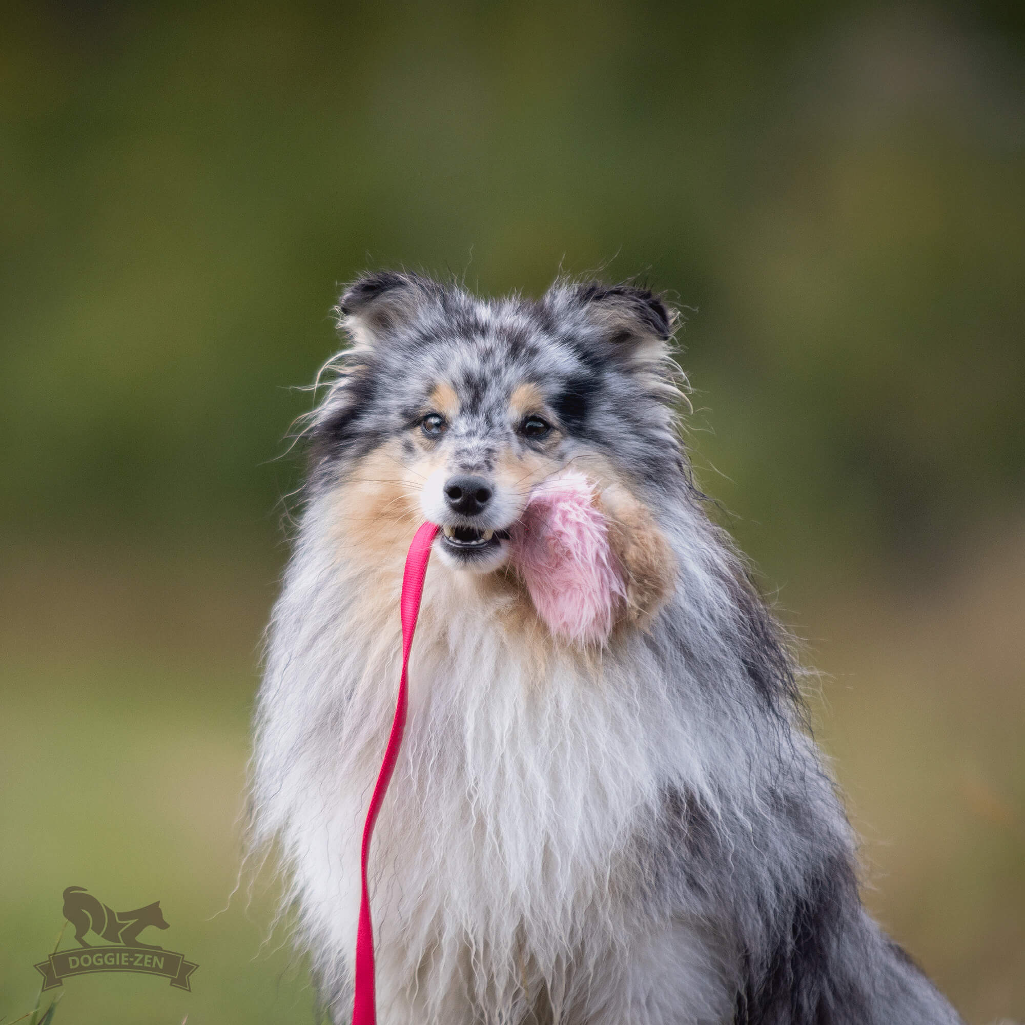 Doggie-Zen Chaser med kanin og pib - Billede 3