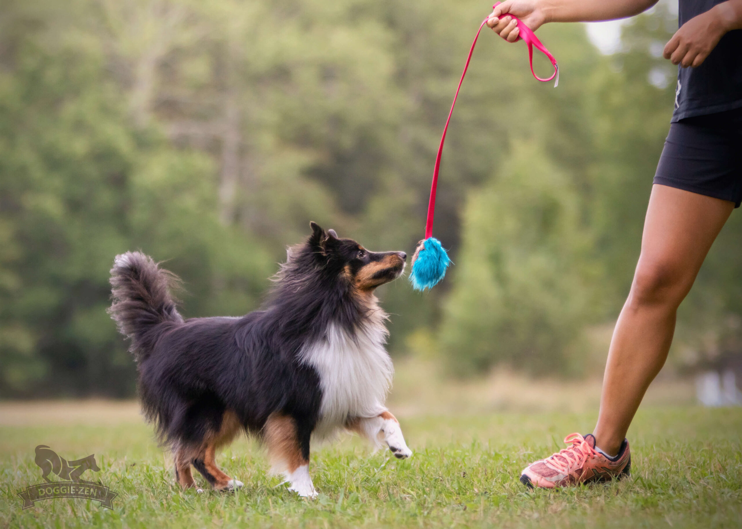 Doggie-Zen Chaser med kanin og pib - Billede 8