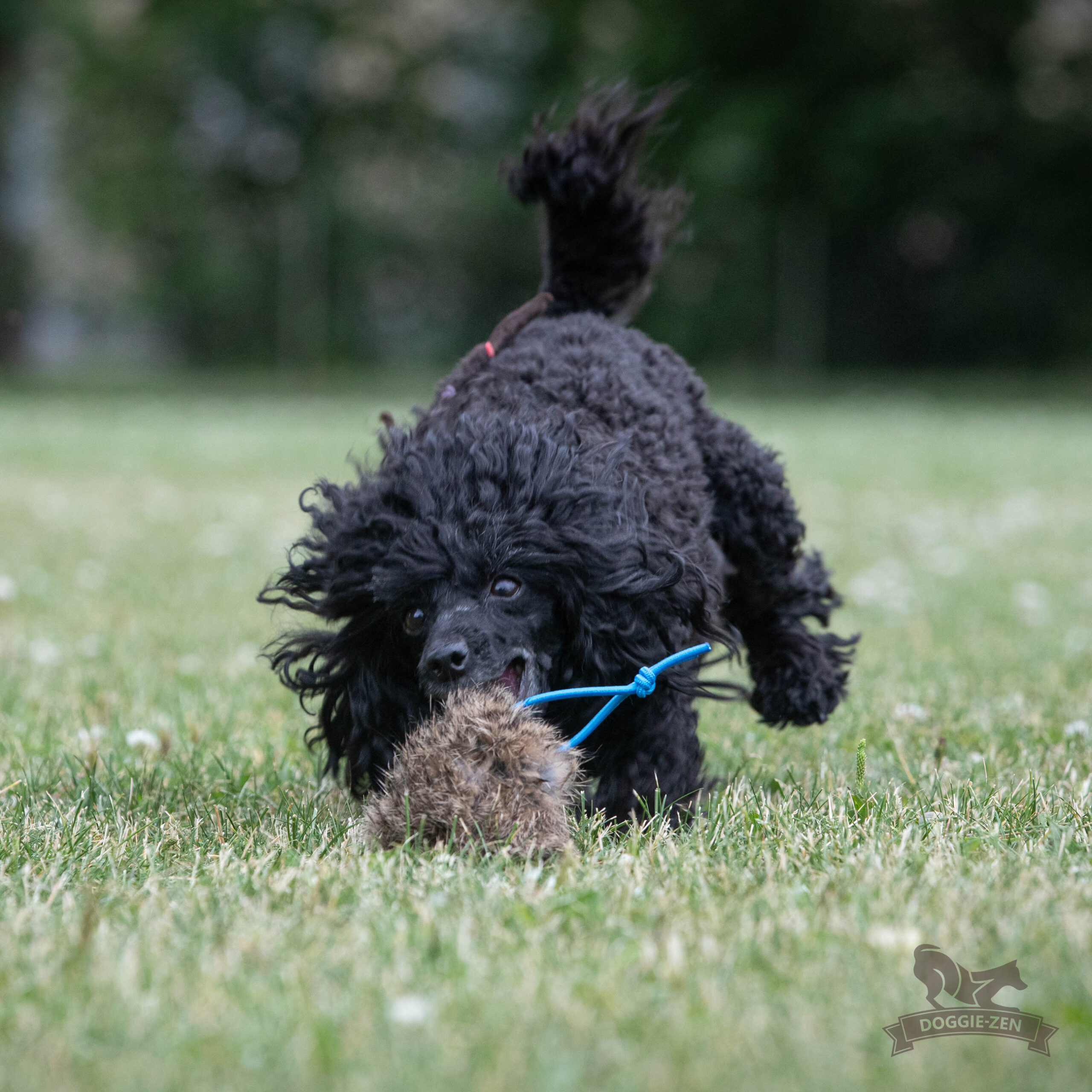 Doggie-Zen – Kaninpels-bold S - Billede 7