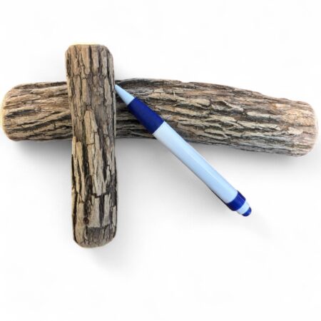 {{brizy_dc_image_alt entityId=