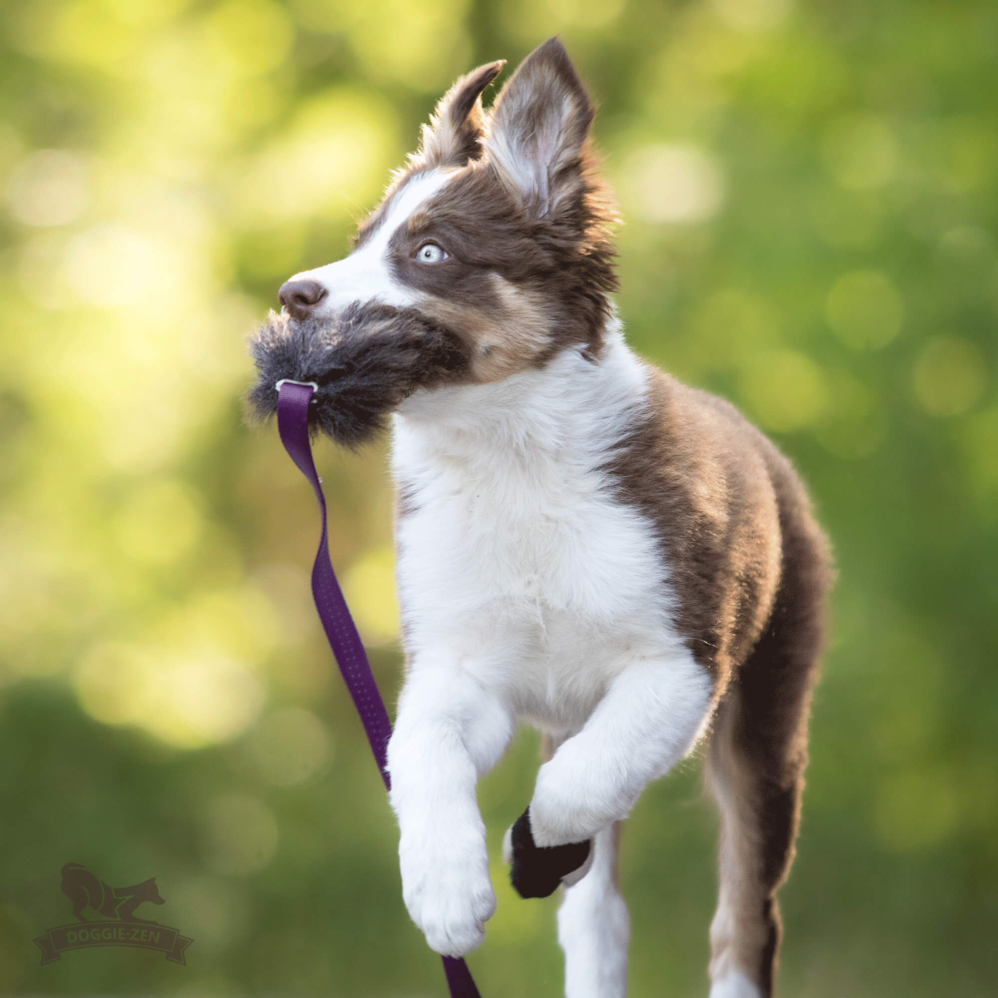 Doggie-Zen – Fåreskindschaser S (Doggie-Zen chaser sheep skin)