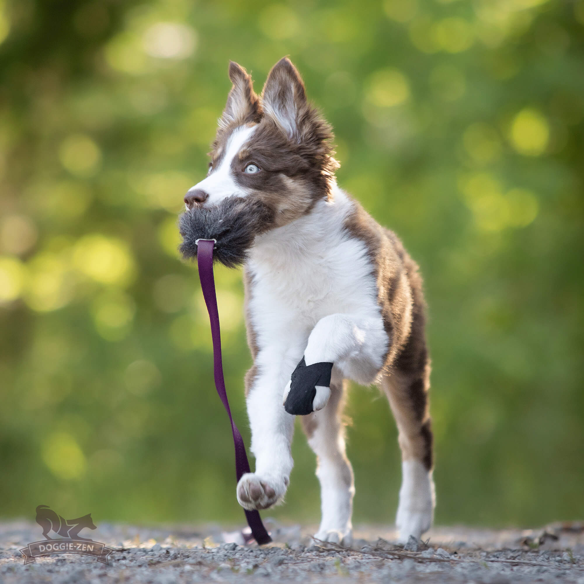 Doggie-Zen – Fåreskindschaser S (Doggie-Zen chaser sheep skin) - Billede 3