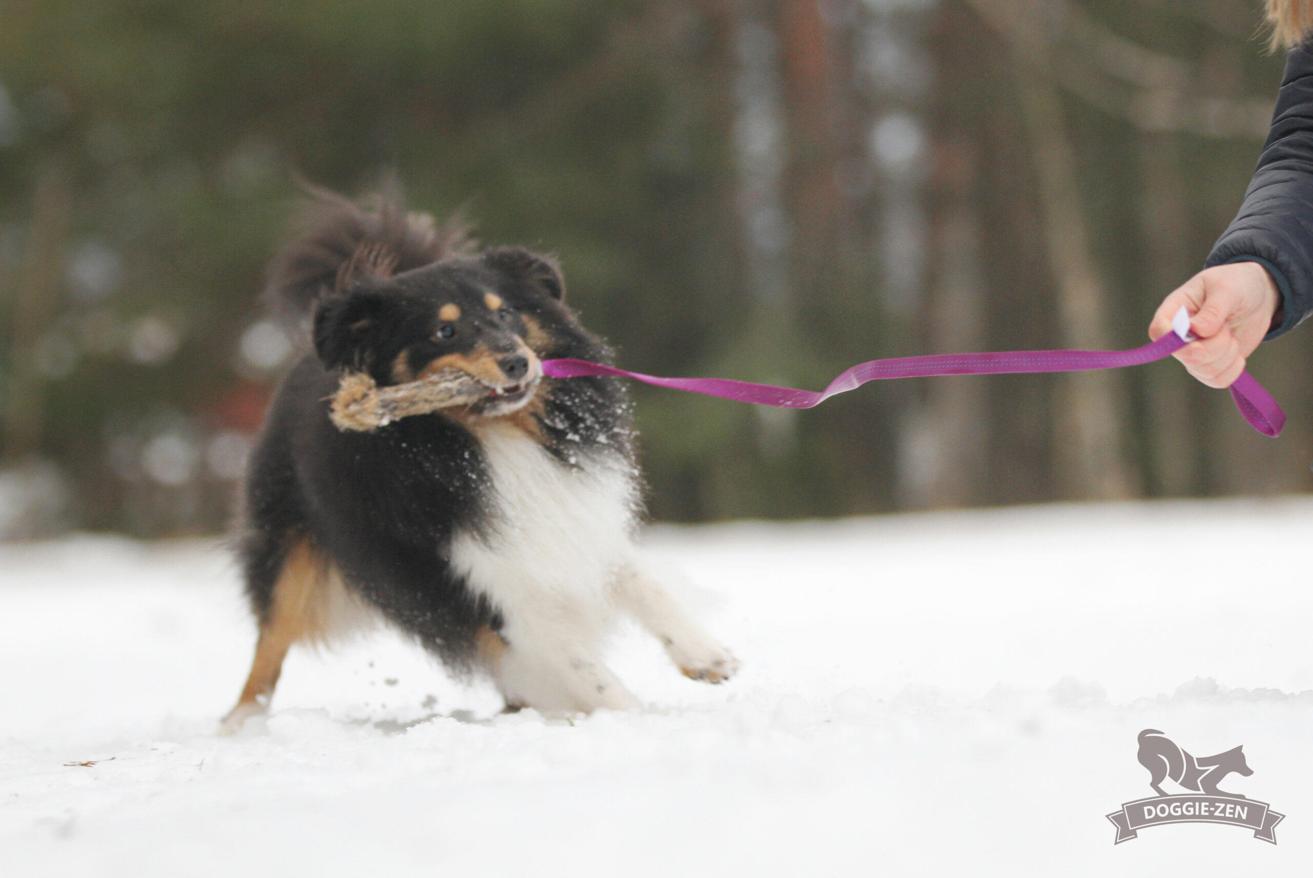 Doggie-Zen – Chaser med kanin str. S - Billede 2