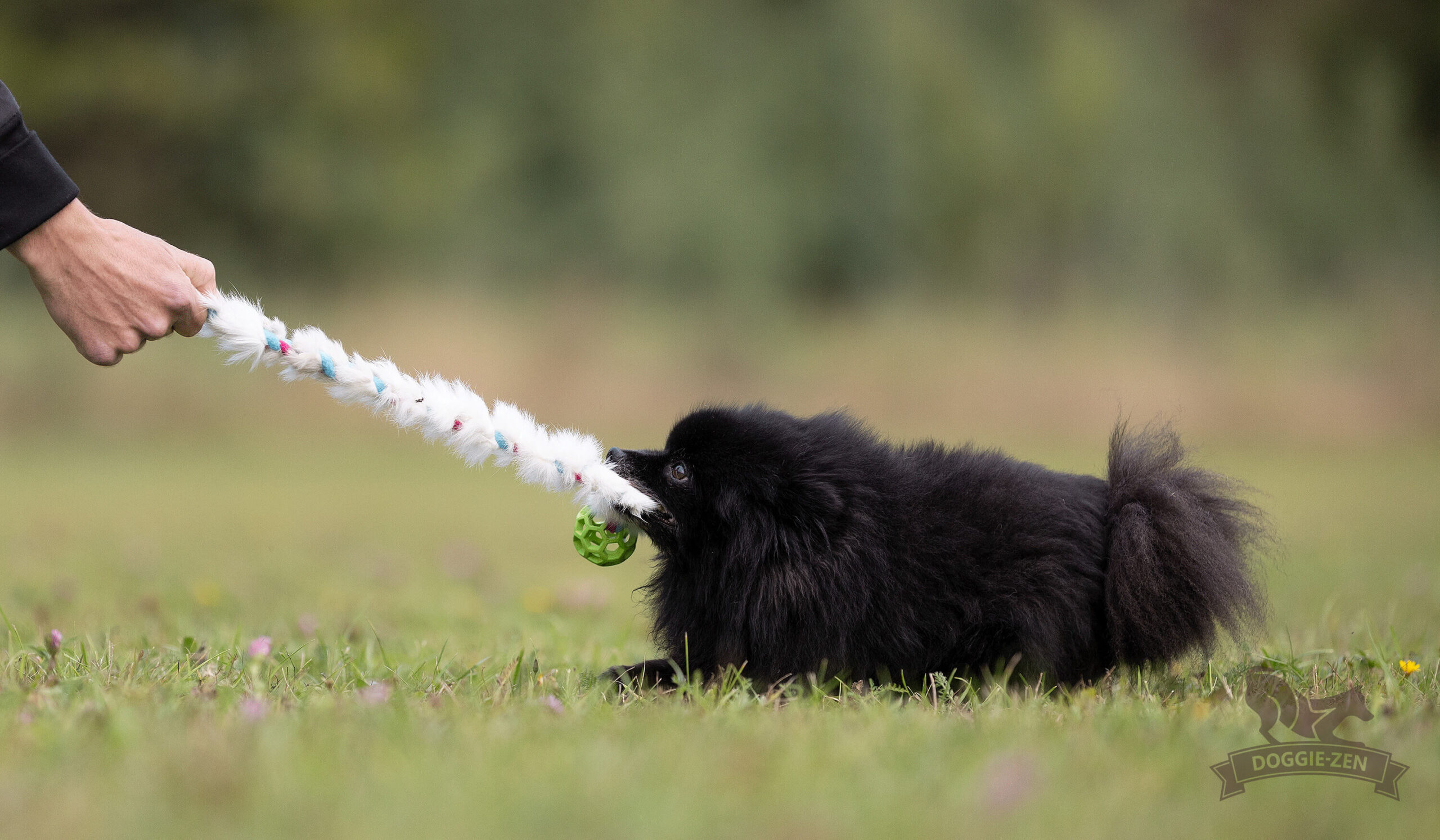 Doggie-Zen Fleece ‘n Rabbit Braid med Hol-ee Roller str. XS (50 cm) - Billede 3