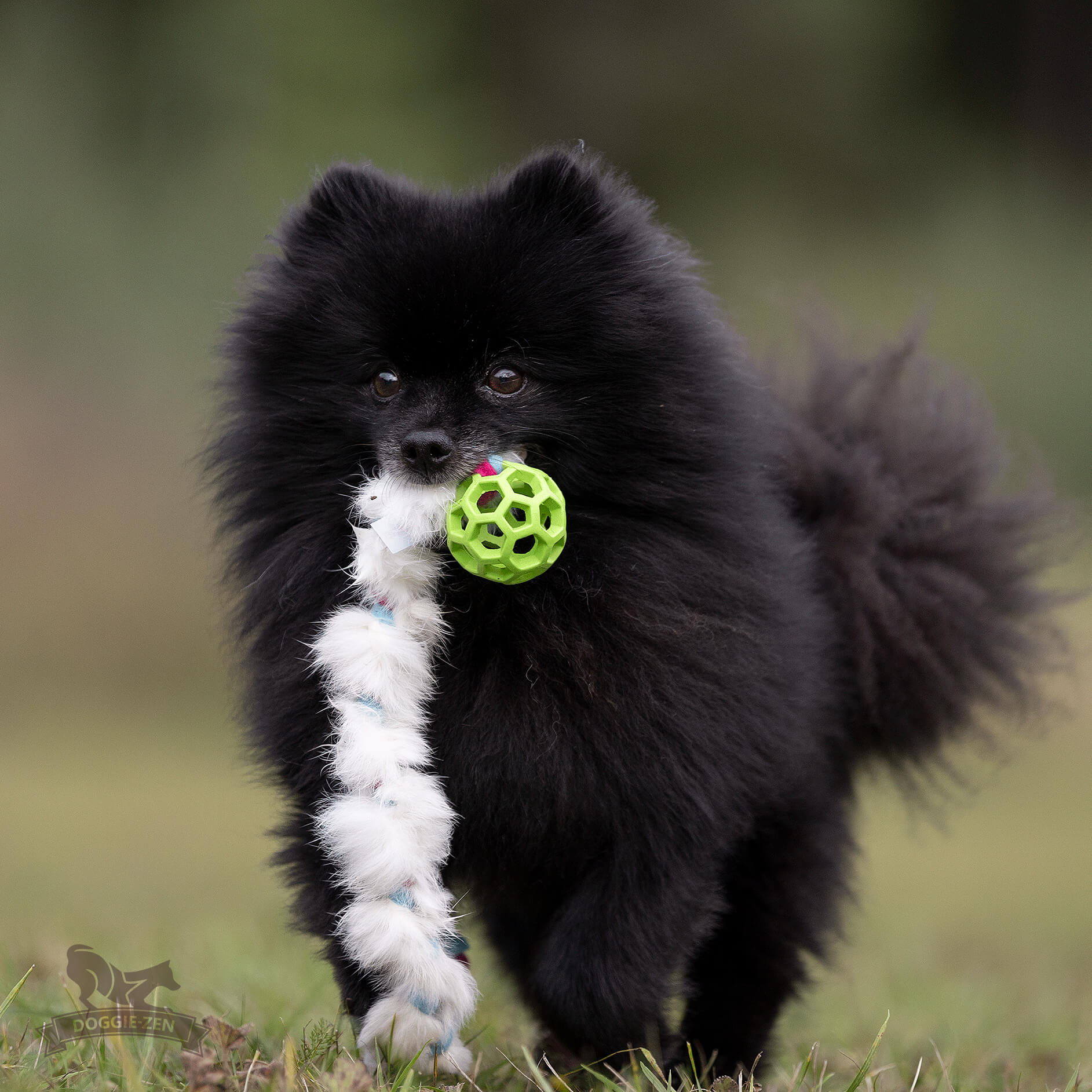 Doggie-Zen Fleece ‘n Rabbit Braid med Hol-ee Roller str. XS (50 cm)