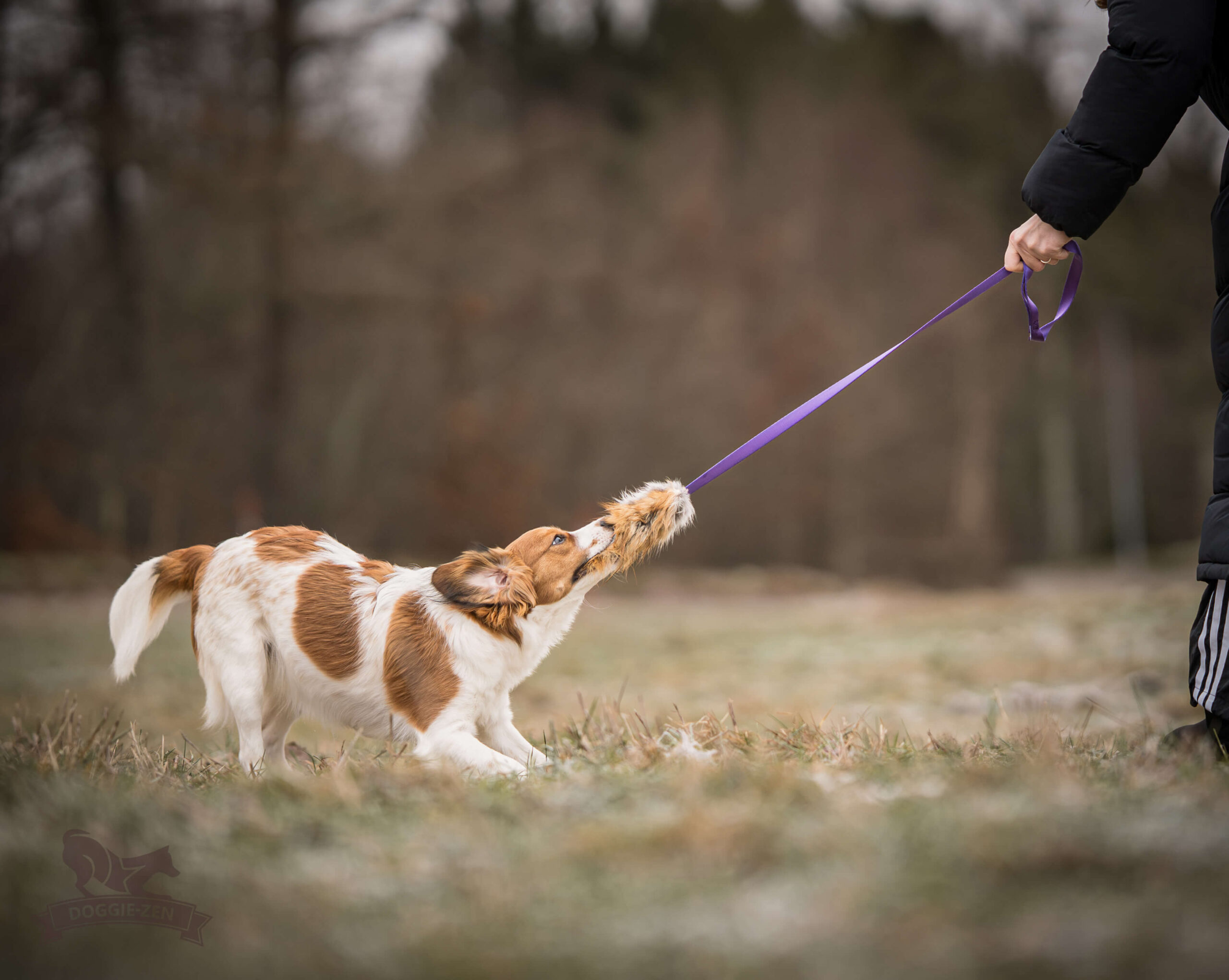 Doggie-Zen – Chaser med ræv str. S - Billede 8