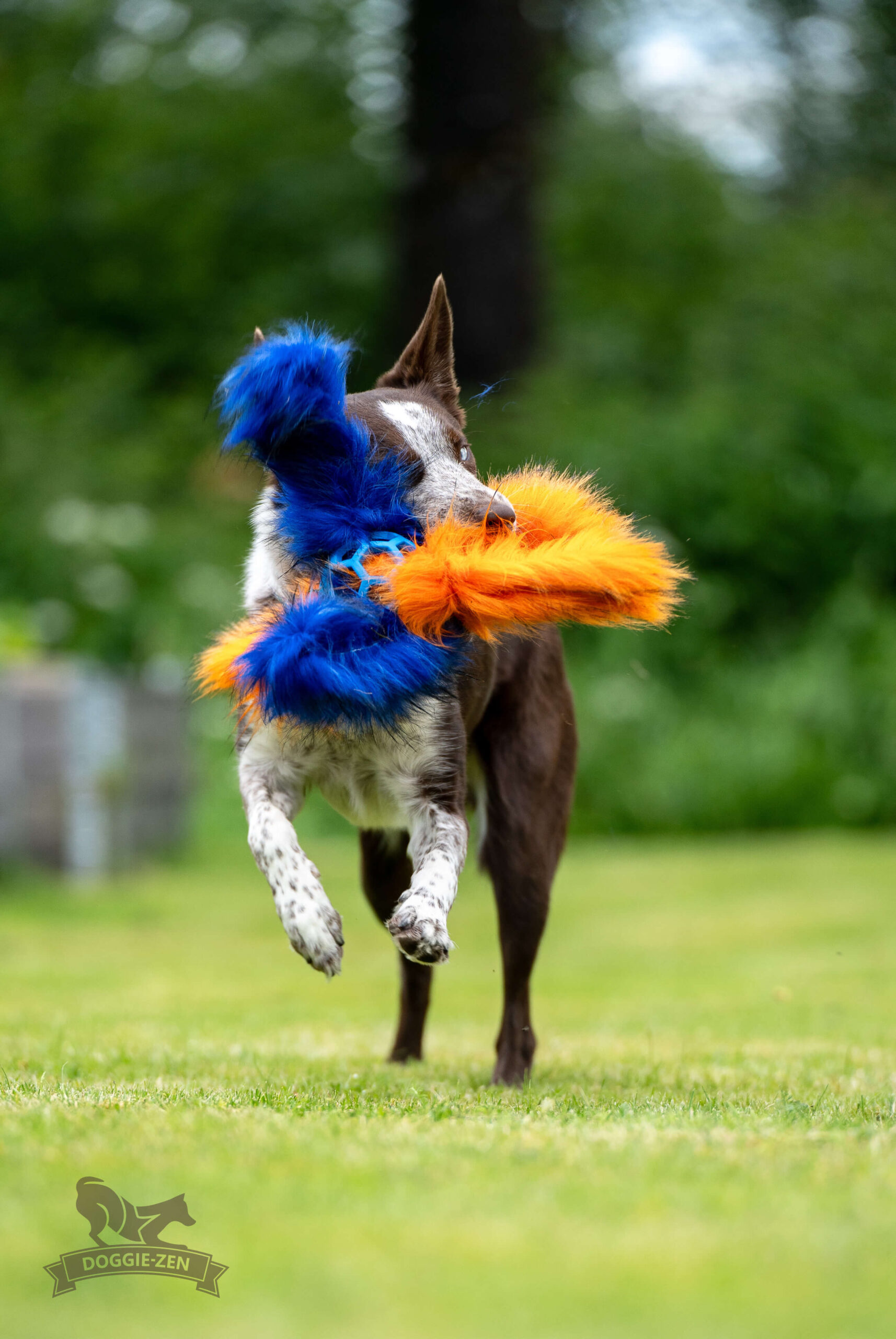 Doggie-Zen Hol-ee Roller Blæksprutte med kunstpels – str. S - Billede 5