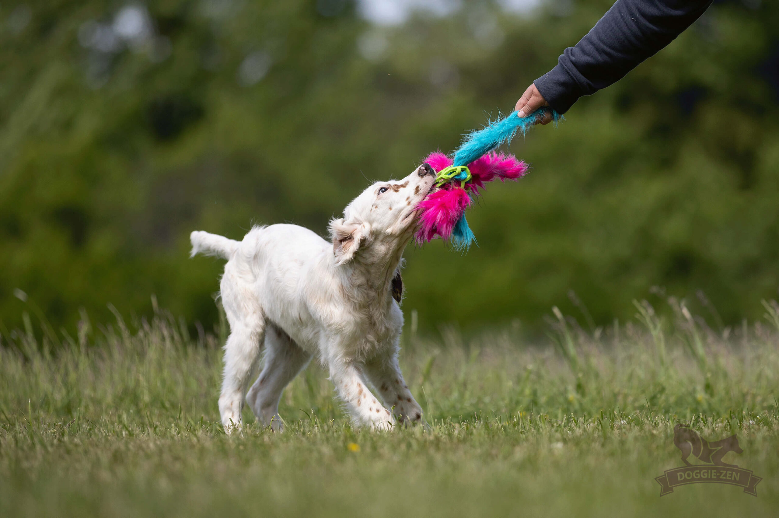 Doggie-Zen Hol-ee Roller Blæksprutte med kunstpels – str. S - Billede 6