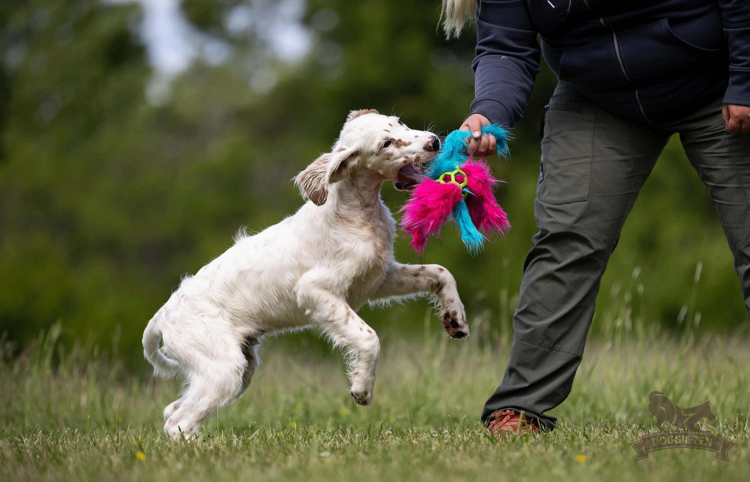 Doggie-Zen Hol-ee Roller Blæksprutte med kunstpels – str. S - Billede 3